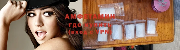ПСИЛОЦИБИНОВЫЕ ГРИБЫ Арсеньев