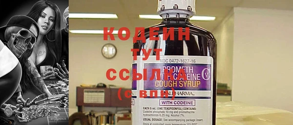 ПСИЛОЦИБИНОВЫЕ ГРИБЫ Арсеньев