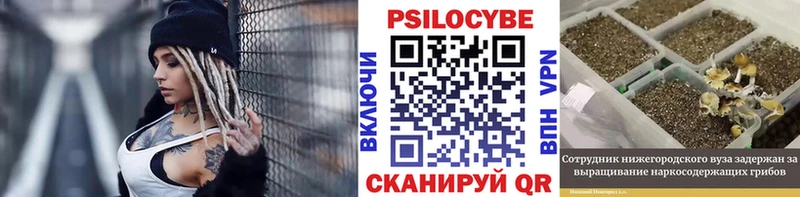 Галлюциногенные грибы ЛСД  Купить закладки  Россошь 